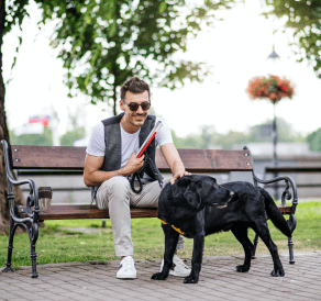 Chien d’aveugle avec son maître dans un parc
